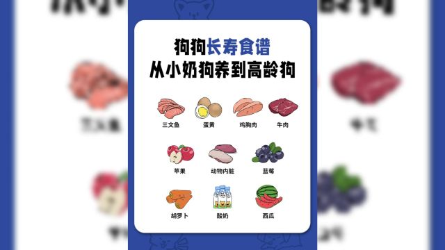 狗狗必吃的10种食物,让狗狗更健康长寿!