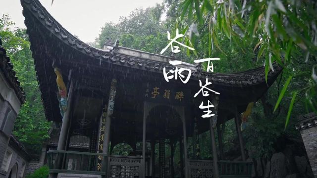 雨润万物百谷生,芳华再启初夏时.