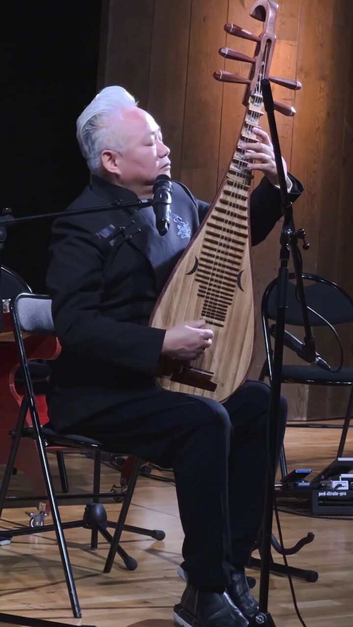 方锦龙琵琶演绎西域风情,跨越文化的音乐之旅#国乐大典