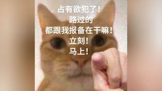 #猫咪表情包#占有欲犯了在干嘛报备#闲出p系列