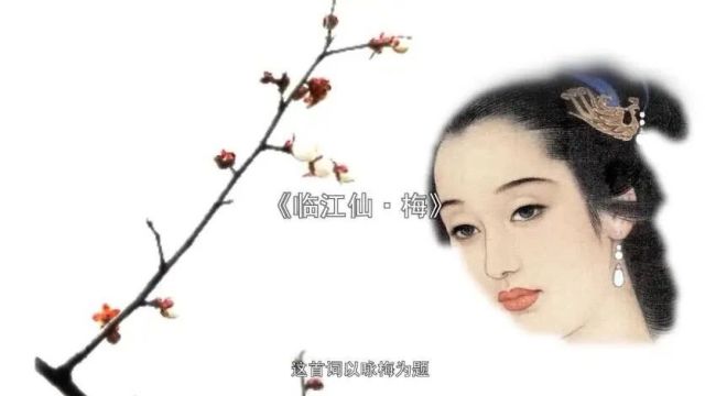 古诗词文赏析之宋词《临江仙ⷦⅣ€‹李清照