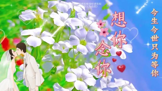 【想听你的声音】寂静的夜,你的声音是我的慰藉.