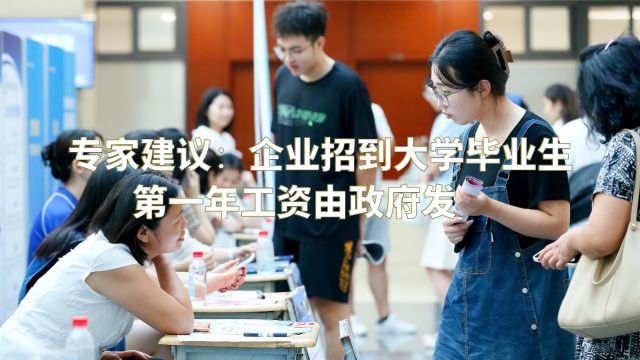 专家建议:企业招到大学毕业生,第一年工资由政府发