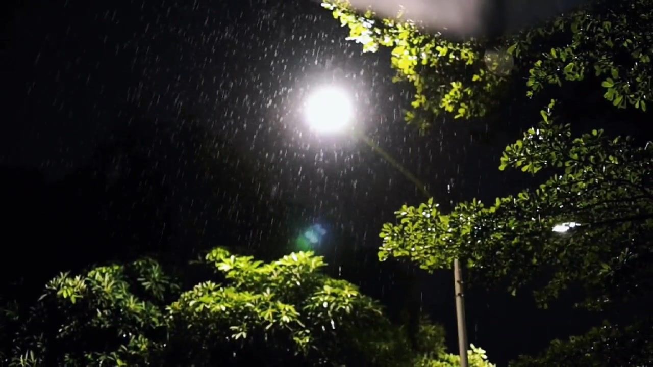 路灯下的雨#素材 #路灯下 #城市的夜晚 #雨中看雨 #下雨天 #我慢慢