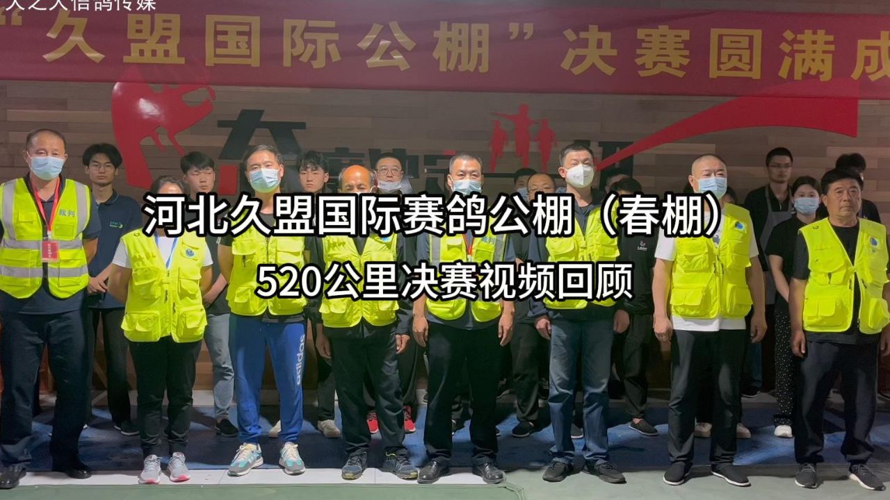 河北久盟赛鸽公棚春棚520公里决赛视频回顾