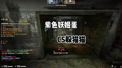csgo躲猫猫:越小越河里#csgo躲猫猫 #躲猫猫 #csgo