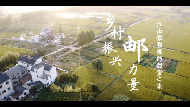 3.乡村振兴邮力量——江山猕猴桃的甜蜜之旅