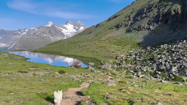 天空很蓝 太阳很暖 风景很美 你很可爱.#治愈系风景