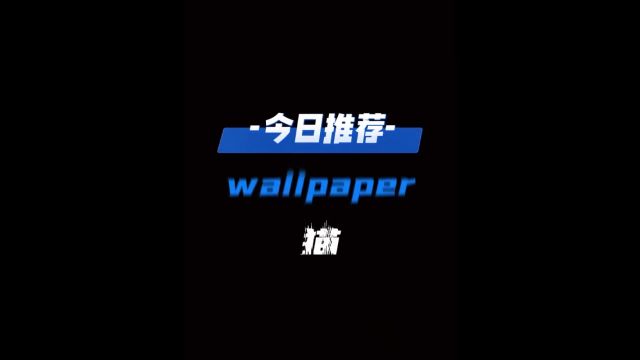 今日推荐!!!#wallpaper动态壁纸 #猫261