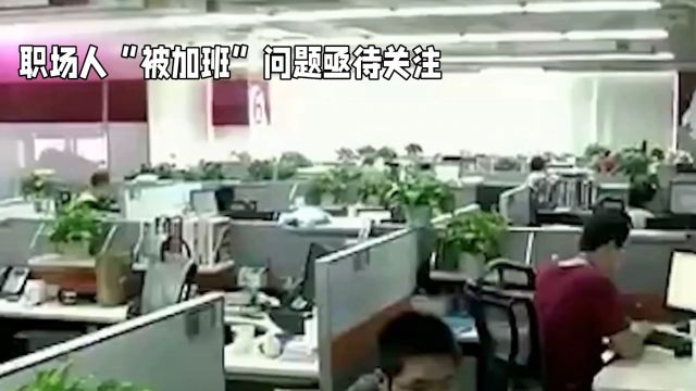 5000块钱的工资46个工作群