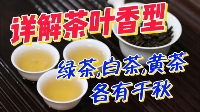 详解茶叶香型:从绿茶到白茶,各有千秋