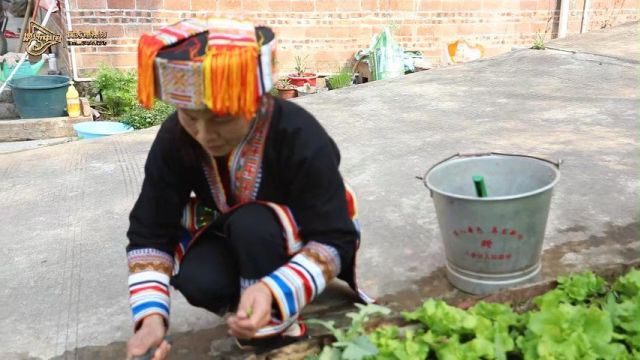 “携手同心ⷥ勨🛦–𐥾程”第五届三月三网络短视频大赛|一布织瑶