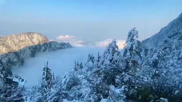 你向往老君山雪,却不知峨眉山的绝! #安逸四川冬游天府 #四川美好推荐官