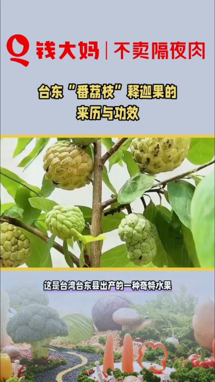 你知道释迦果吗?它到底是什么来历?#钱大妈#加盟门店#新鲜上市