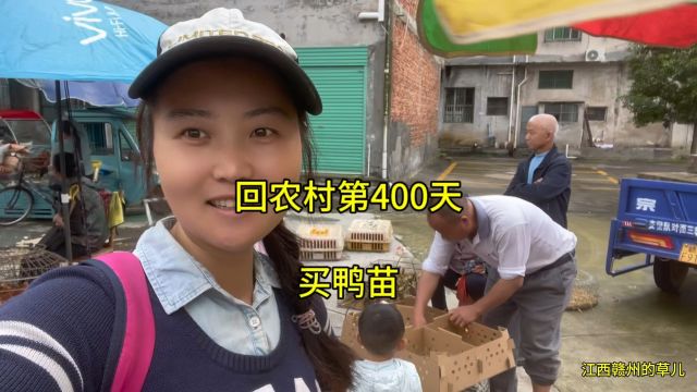 200块钱买了40只鸭苗,5块一只,老板生意特别好!