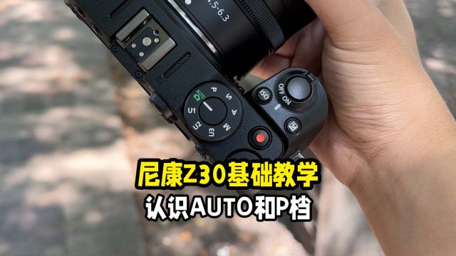 尼康Z30基础教学认识AUTO和P档