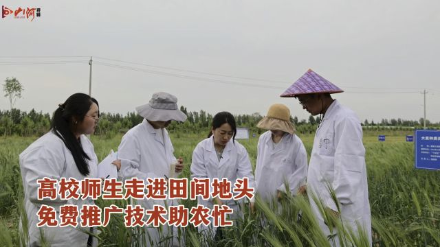 高校师生走进田间地头,免费推广技术助农忙