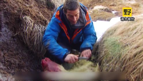  贝爷前往冰岛冒险，不仅泡上了天然温泉，还吃上了涮羊肉！