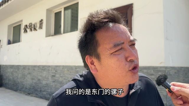 #青海方言#搞笑段子偷不偷不知道,反正是只能看着不能上…