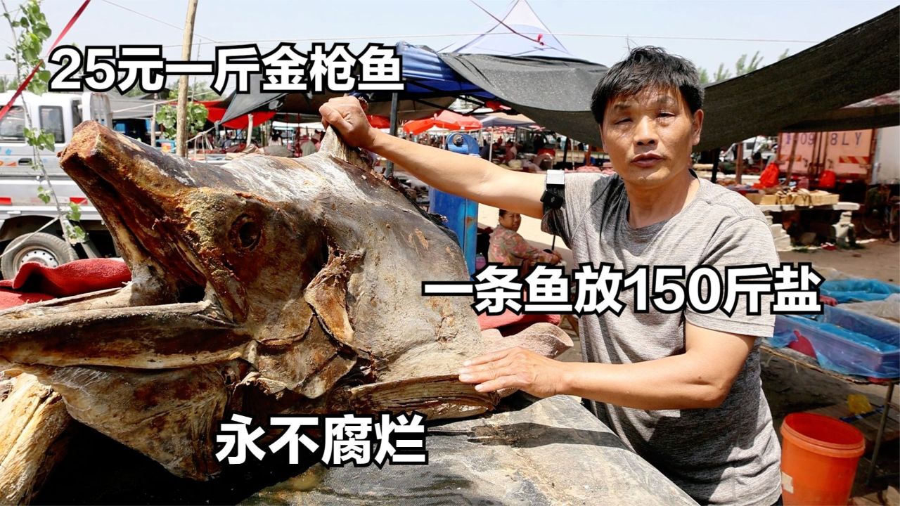 山东大哥卖金枪鱼,25元一斤,一条鱼放150斤咸盐腌,永不腐烂