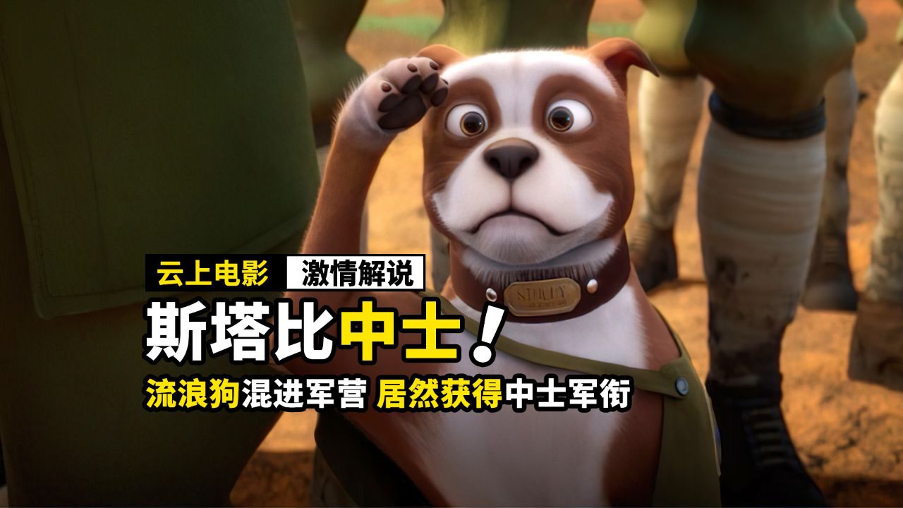 流浪狗混进军营,居然拯救无数人,成为了英雄,动画电影《斯塔比中士》