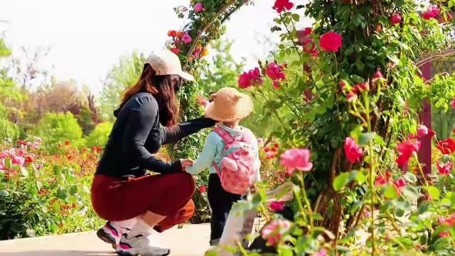 枣庄市山亭区:初夏花开美如画