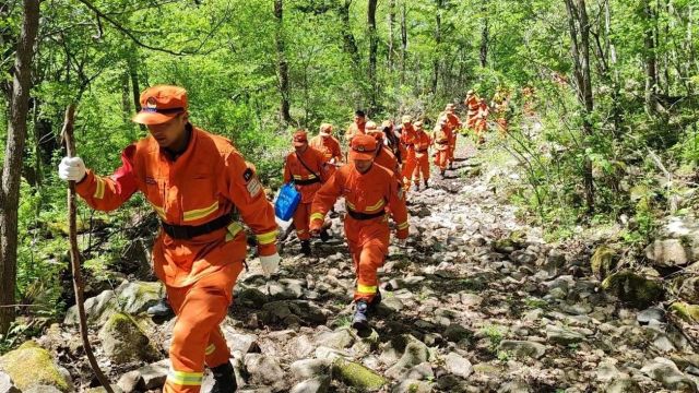 进山入林丨以汗水锤炼意志 用双脚丈量大地