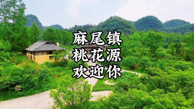 麻尾镇麻往桃花源民宿,无需行万里路,来此就有家的感觉.#五一人气民宿推荐 #隐藏在大山里的世外桃源 #麻尾热线 #桃花源民宿 #满蕴精萃注能青春