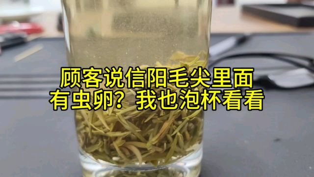 顾客说买的信阳毛尖里面有虫卵?我也泡杯看看