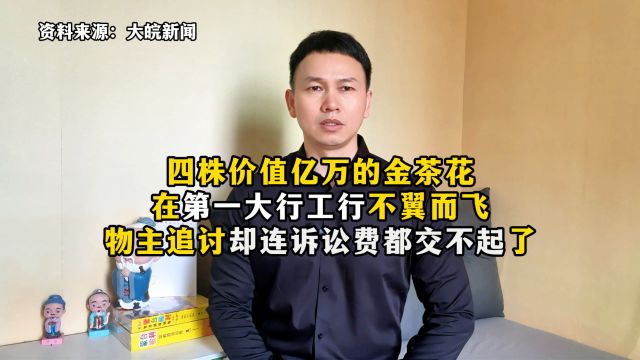 价值万亿金茶花被第一大行工行支行托管后不翼而飞,物主多年追讨因诉讼费高昂无果