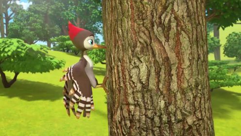 第1集：为什么啄木鸟要啄树