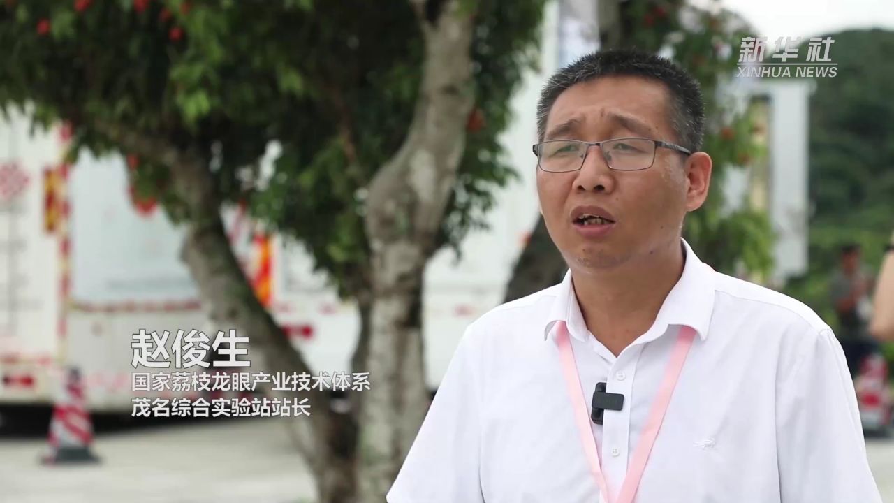 荔枝"小特产"撬动"大产业"