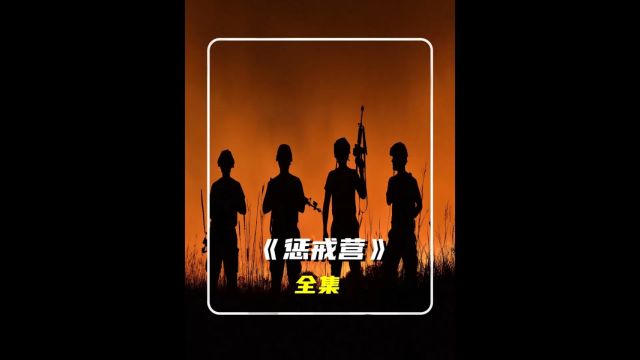 二战由死刑犯组成的惩戒营,立功无数却得不到尊重 #战争电影 中