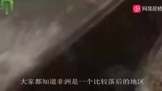 逐渐黑化的欧洲国家,黑人占人口接近千万,60新生儿为黑人