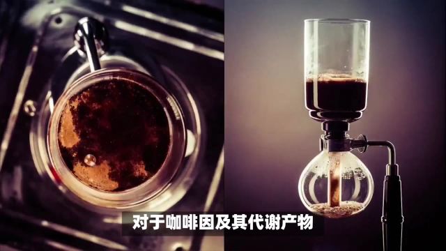 前瞻性研究揭示咖啡因及其代谢产物可降低帕金森病风险