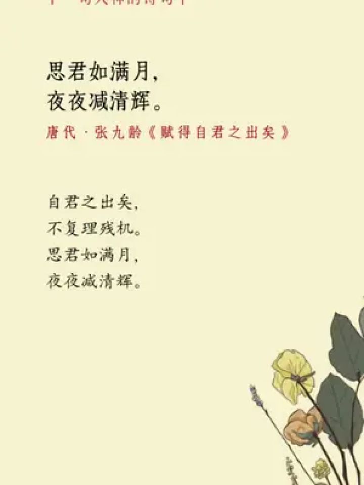 赋得自君之出矣 #张九龄 #唐牧读诗