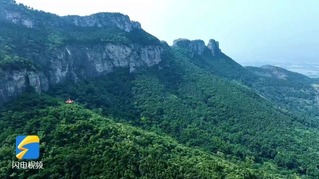 国际生物多样性日|莲台山林场:保护种质资源 推进生物多样性持续发展