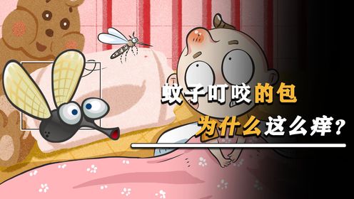 蚊子是怎么咬人的?怪不得这么痒!看完心疼我自己刚刚咬的包!_高清1080P在线观看平台_腾讯视频
