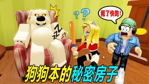 我秘密进入了,一条坏狗的房间,会发现什么呢?_高清1080P在线观看平台_腾讯视频