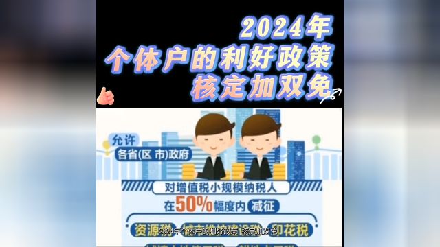 2024年个体户的利好政策核定加双免