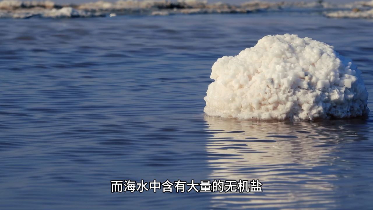 技术新应用-海水淡化浓海水膜蒸馏浓缩技术