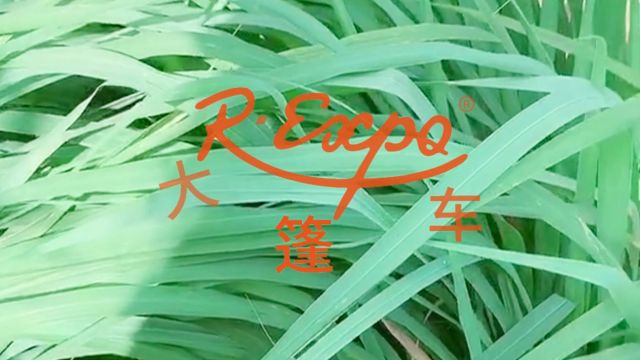 爪哇香茅精油 | 清甜草本清香 激励身体机能