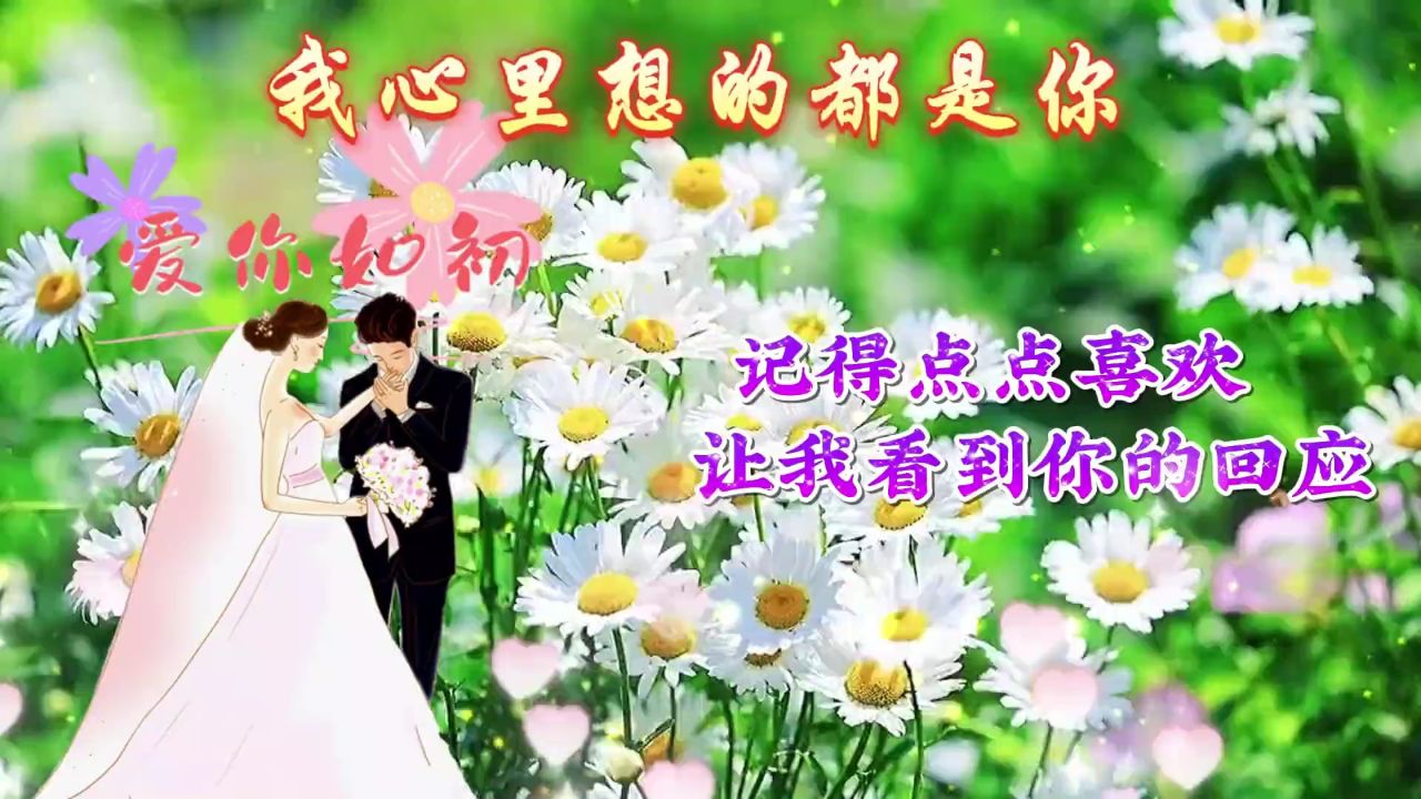 你是我的精神支柱,真的很谢谢你一直陪伴支持我!