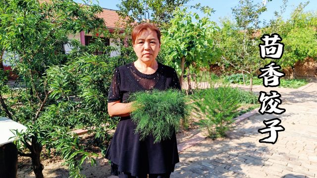 翠绿鲜嫩的茴香,农村妈妈做成饺子,实在是太香了,家人都爱吃