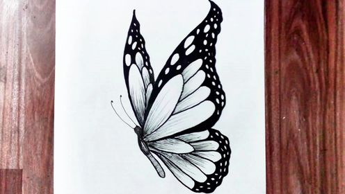 怎么画美丽的蝴蝶图片
