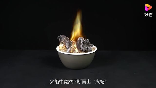 “火蛇”是怎么出现的?将白砂糖点燃后,不可思议的现象发生了!