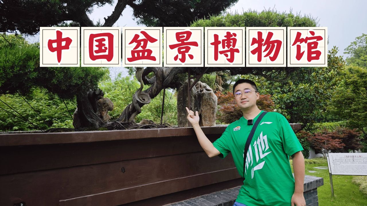 泰州中国盆景博物馆,扬派盆景的发源地,明朝的老盆景很值得一看