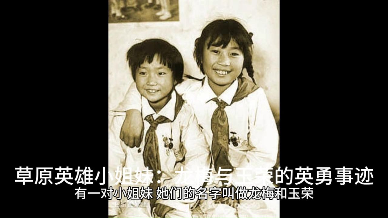 草原英雄小姐妹:龙梅与玉荣的英勇事迹