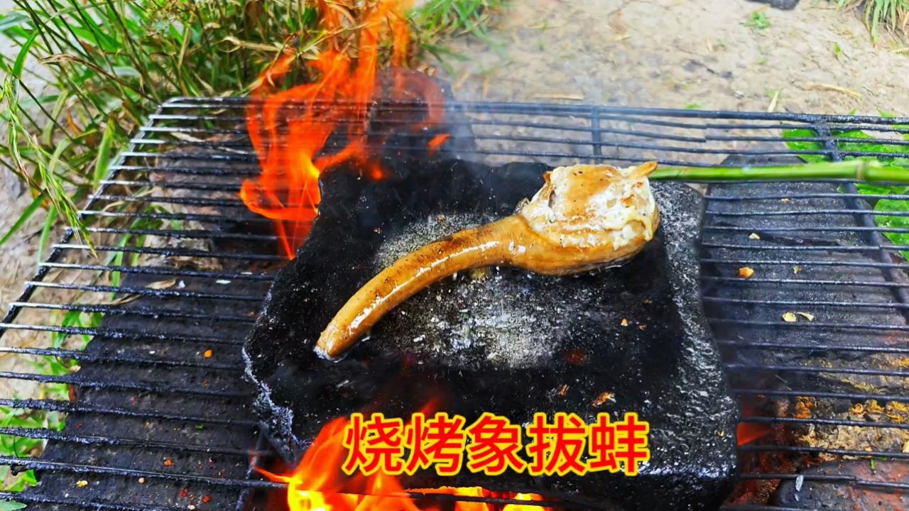 水坑里捡了一个象拔蚌,放石板上煮一个小火锅,香辣鲜美太好吃了