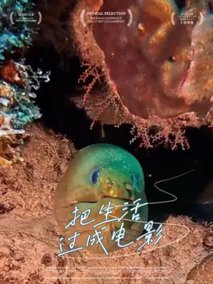 居然被海鳗咬了,怎么办… tommy老师天天叮嘱大家小心不要被海洋生物